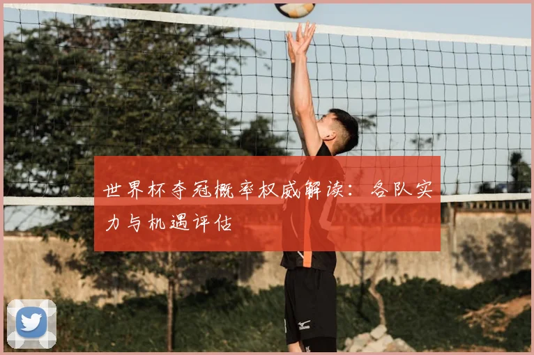 世界杯夺冠概率权威解读：各队实力与机遇评估